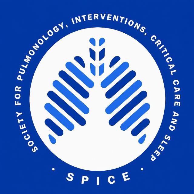 SPICE Logo